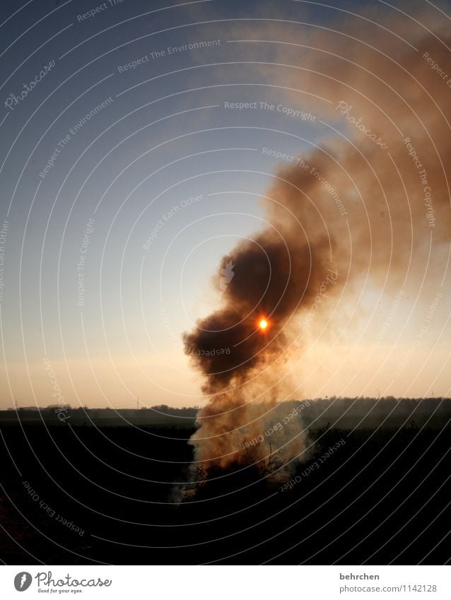 viel rauch um nix Himmel Wolkenloser Himmel Sonne Schönes Wetter Garten Wiese Feld beobachten brennen Rauch dunkel Osterfeuer Feuer Sonnenstrahlen Licht