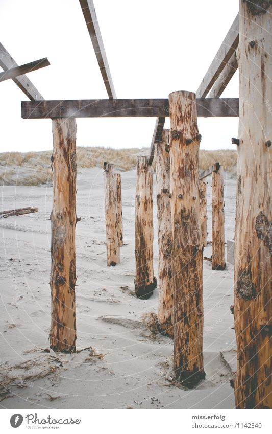 Brett vorm Kopf Umwelt Sand Frühling Sommer Herbst Strand Bucht Nordsee Ostsee Bauwerk Holz ästhetisch außergewöhnlich Trauer Frustration Stress Erholung