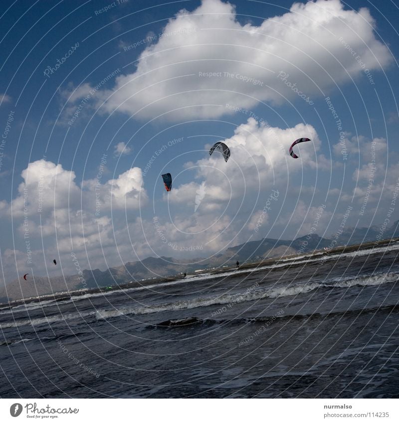 Frühsport Meer gleiten Schweben Lenkdrachen gefährlich Sturm Neopren Anzug Aussteiger Surfer Strand Physik Sommer Karibisches Meer Meerwasser Fixer verrückt