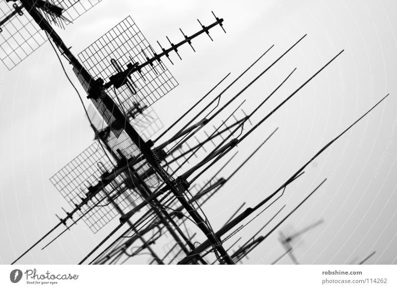 Empfangsberechtigt Antenne Satellit Fernsehen Empfangsstation schwarz Monochrom Funktechnik Radiowellen Funkwellen Dach Fernseher senden Verschwörung Strahlung