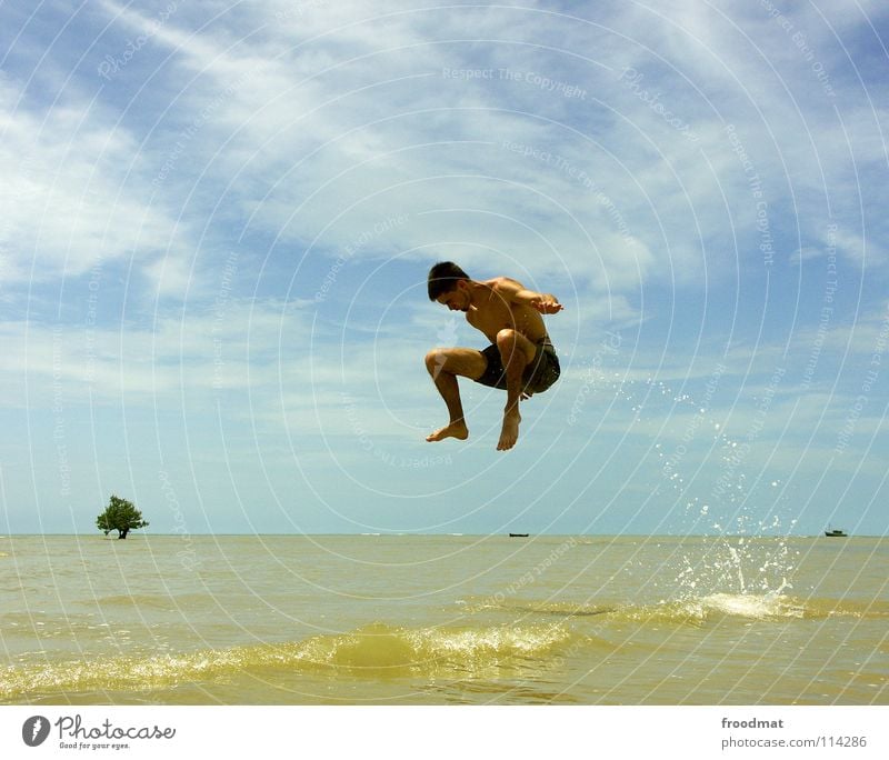 out the water in the air Brasilien Strand Meer Palme Ferien & Urlaub & Reisen Lebensfreude Salto gefroren Wasserfahrzeug lässig Luft Ausgelassenheit akrobatisch