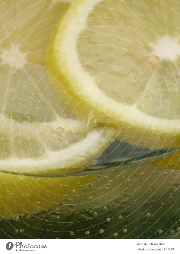 fresh lemon *3 Zitrone frisch Bar Strand bitter Getränk Saloon Sommer Physik gelb Mineralwasser Schnellzug trinken Alkohol Wasser Eis Glas Durst abuse beverage