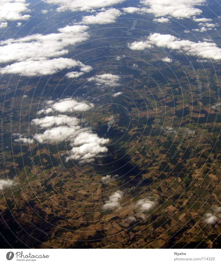 Über den Wolken Baum Luft Himmel Luftverkehr Freiheit Erde Landschaft