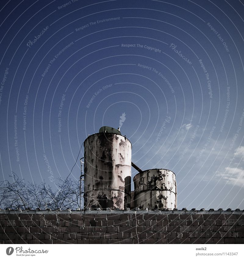 Alte Freunde Umwelt Wolkenloser Himmel Klima Wetter Schönes Wetter Baum Zweige u. Äste Mauer Wand Silo Scheune Stein Metall Rost alt Zusammensein groß hoch