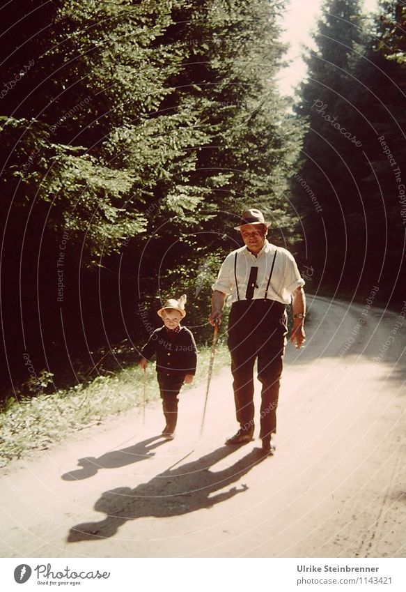 Kindheitserinnerung: Vater und Sohn gehen zusammen im Wald wandern Ferien & Urlaub & Reisen Abenteuer Sommerurlaub Mensch maskulin Junge Mann Erwachsene Leben 2