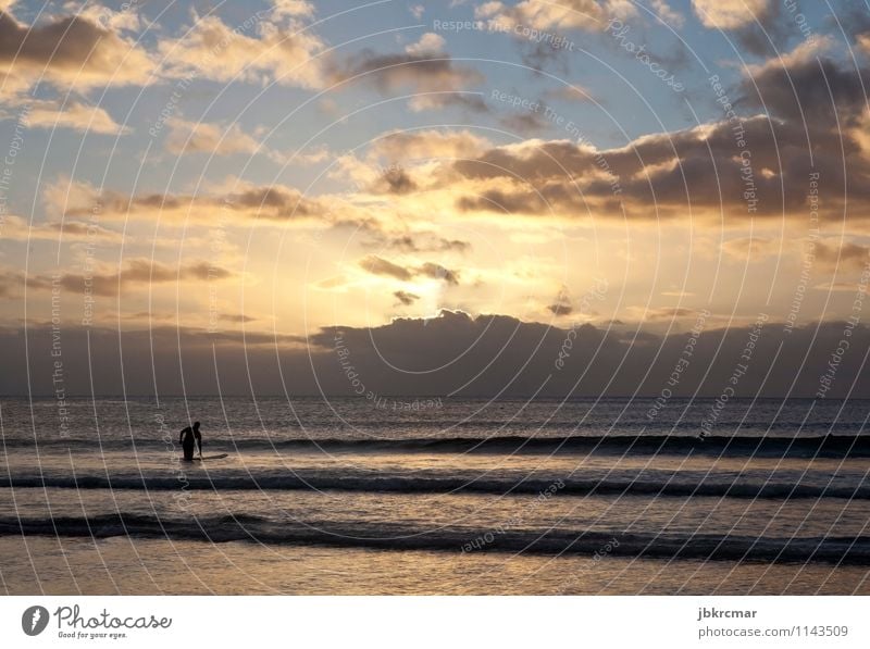 Surfer im Sonnenuntergang in Mauritius surfen meer strand urlaub sommer silhouette mann sport freizeit mauritius surfer wassersport sonnenuntergang abend