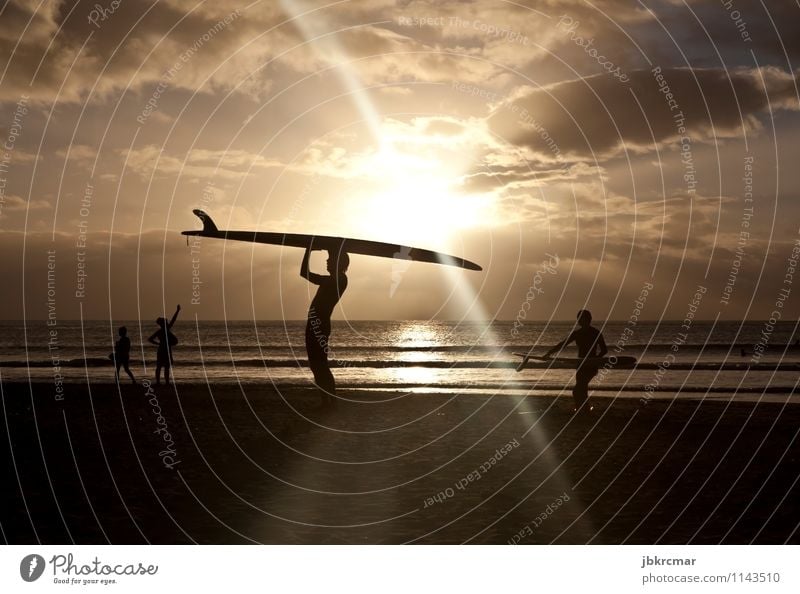 Surfer im Sonnenuntergang in Mauritius surfer surfen wassersport freizeit meer strand sonne urlaub sommer sonnenuntergang silhouette freiheit hobby surfbrett