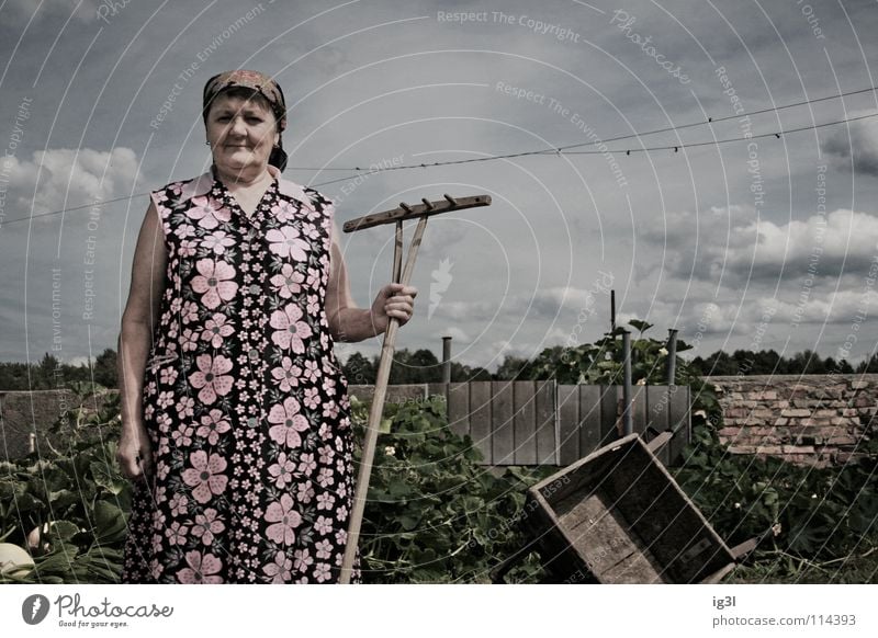 wo die zeit still steht.. Frau Großmutter alt Wachstum Ruhestand Landwirt Bauernhof Tier Landwirtschaft Ernährung Zerealien Vitamin Gras Stroh trocken trocknen