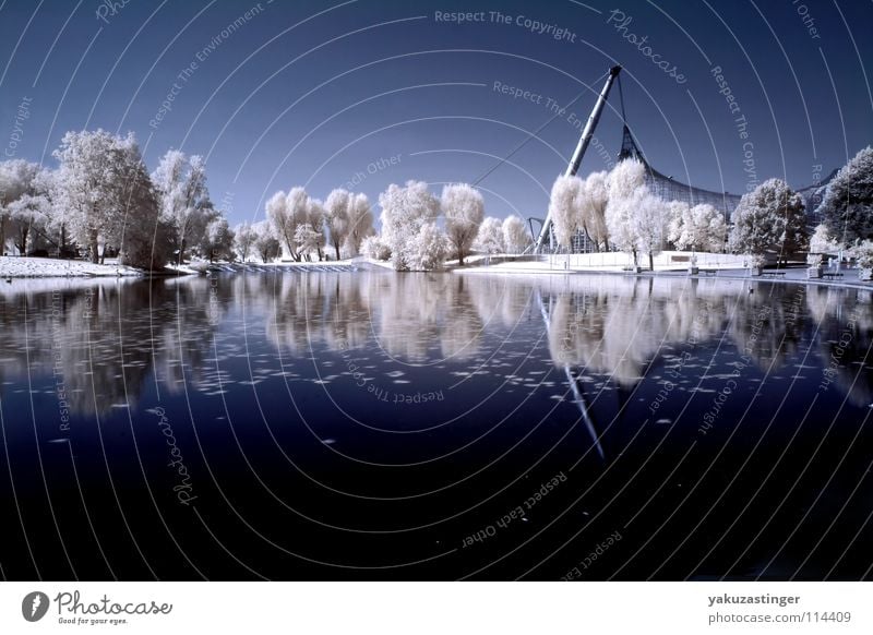 durch die späte dunkelheit 2 grau weiß beige Horizont Baum Sträucher Wiese Park Infrarotaufnahme Farbinfrarot Langzeitbelichtung Farbe blau Wasser Himmel Rasen