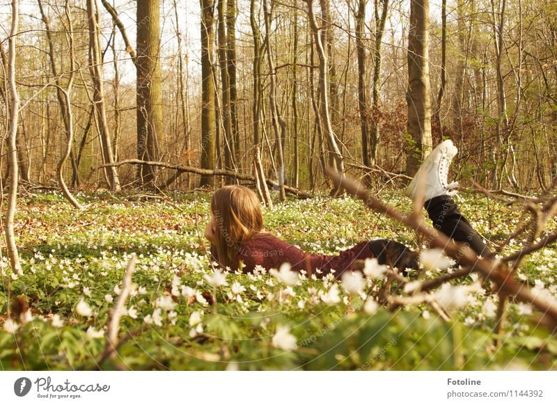 Frühlingsfeeling Mensch feminin Mädchen Junge Frau Jugendliche Kindheit Körper Kopf Haare & Frisuren Beine 1 Umwelt Natur Landschaft Pflanze Schönes Wetter Baum