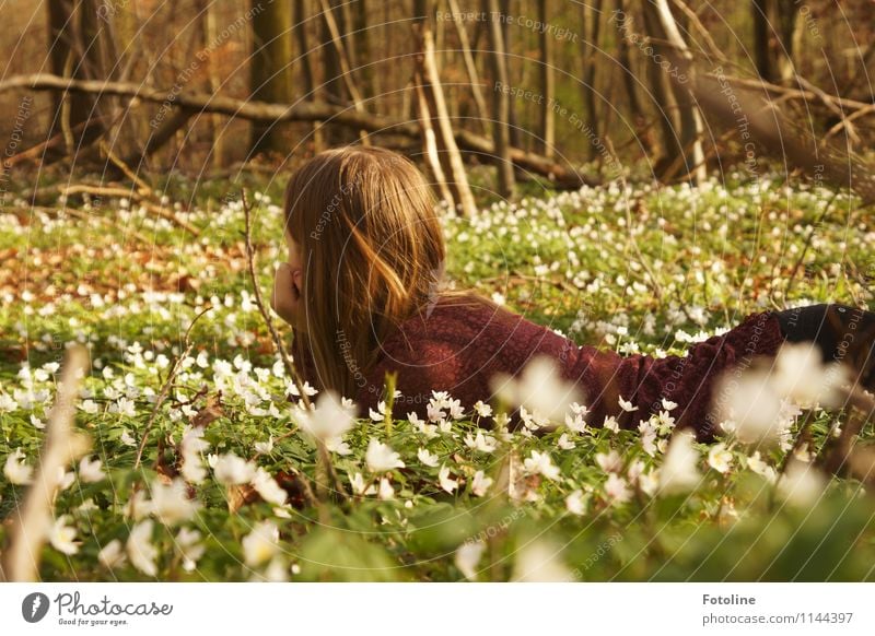 Märchenwald Mensch feminin Mädchen Junge Frau Jugendliche Kindheit Körper Kopf Haare & Frisuren 1 8-13 Jahre Umwelt Natur Landschaft Pflanze Frühling