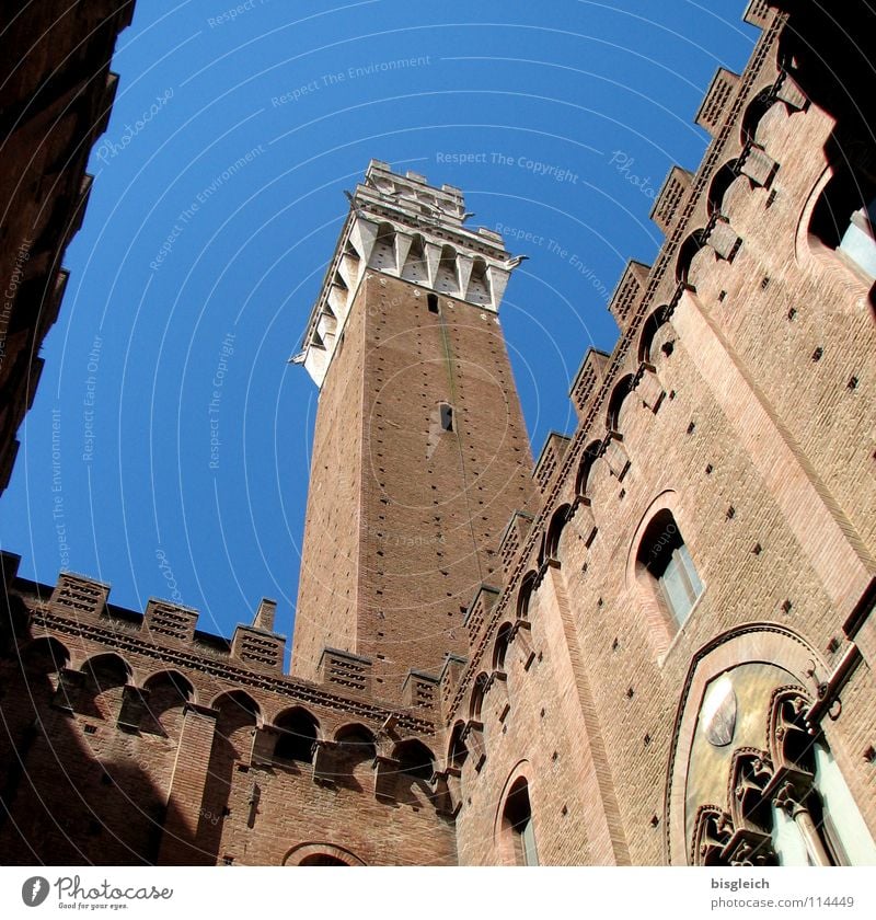 Palazzo Pubblico, Siena (Italien) Farbfoto Außenaufnahme Menschenleer Tag Froschperspektive Kultur Himmel Europa Altstadt Rathaus Turm Bauwerk Sehenswürdigkeit