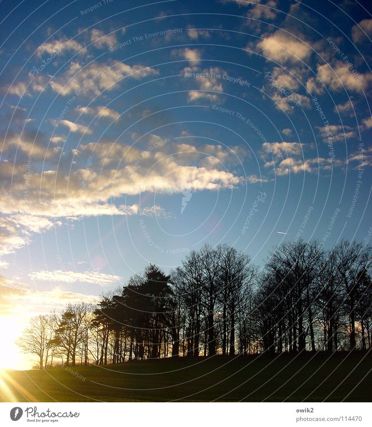 Warmer Dezember Winter Umwelt Natur Landschaft Pflanze Himmel Wolken Horizont Klima schlechtes Wetter Baum Wildpflanze Ast Wald Hügel Flugzeug hell Idylle