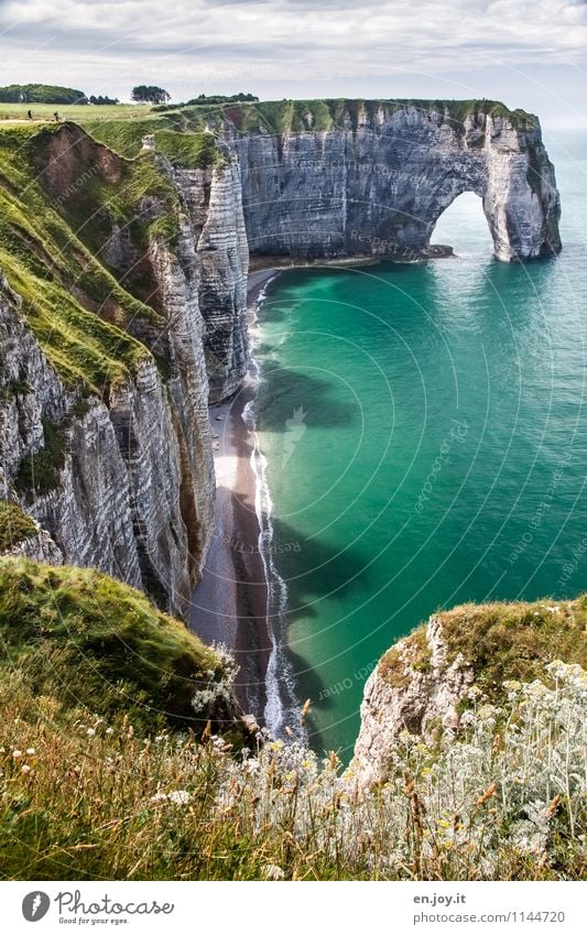 geflutet Ferien & Urlaub & Reisen Tourismus Abenteuer Ferne Sommer Sommerurlaub Meer Natur Landschaft Himmel Klima Schönes Wetter Gras Wiese Felsen Küste Strand