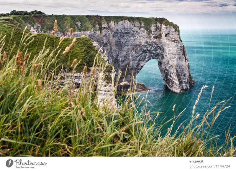 brüchig Ferien & Urlaub & Reisen Tourismus Abenteuer Sommer Sommerurlaub Meer Natur Landschaft Himmel Horizont Klima Gras Wiese Felsen Küste hoch blau grün