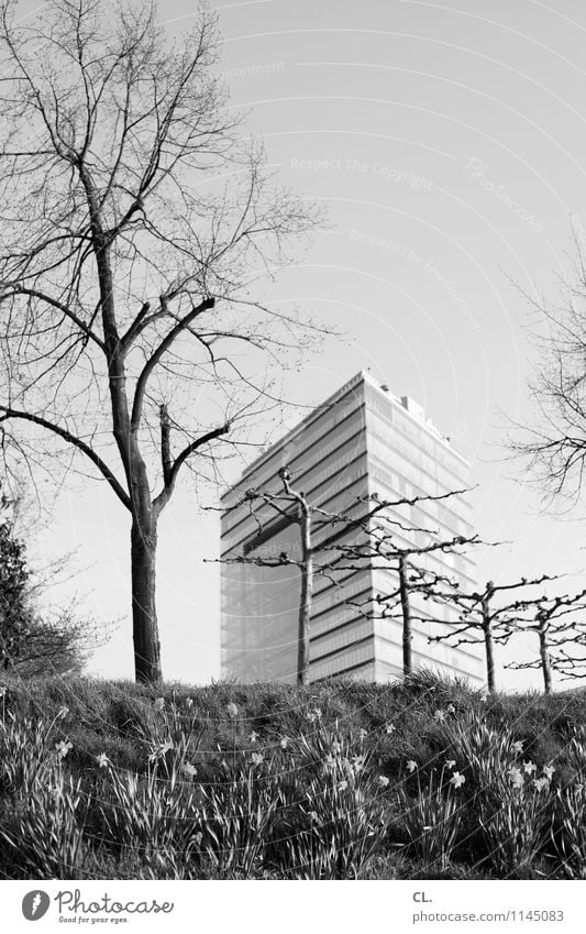 stadttor Ausflug Städtereise Natur Landschaft Wolkenloser Himmel Frühling Sommer Wetter Schönes Wetter Baum Blume Gras Park Düsseldorf Stadt Hochhaus Gebäude