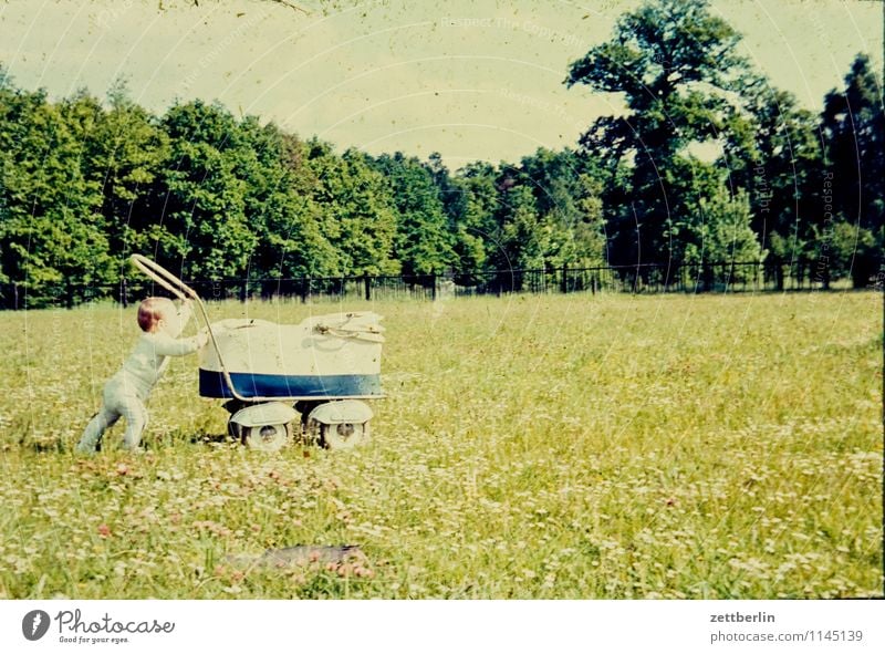 Kleinkind mit Kinderwagen, 1961 Familie & Verwandtschaft Familienausflug Familienplanung Familienglück verwandt Vergangenheit Kindheit Kindheitserinnerung