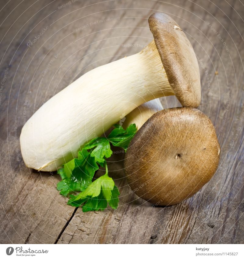 Kräuterseitlinge Kräuter & Gewürze Pilz Steinpilze kochen & garen Zutaten roh Lebensmittel Gesunde Ernährung Speise Foodfotografie Petersilie Holz Küche