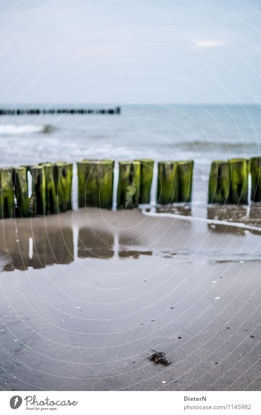 Spiegel Strand Meer Landschaft Sand Wasser Horizont Ostsee Stein nass blau grün Kühlungsborn Mecklenburg-Vorpommern Buhne Sandstrand Farbfoto Außenaufnahme