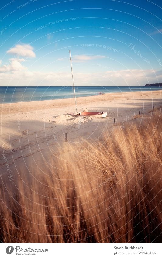 Gestrandet Tourismus Ausflug Abenteuer Ferne Sommer Sommerurlaub Sonne Strand Meer Insel Wellen Segeln Küste Seeufer Bucht Ostsee Rügen Segelboot Segelschiff