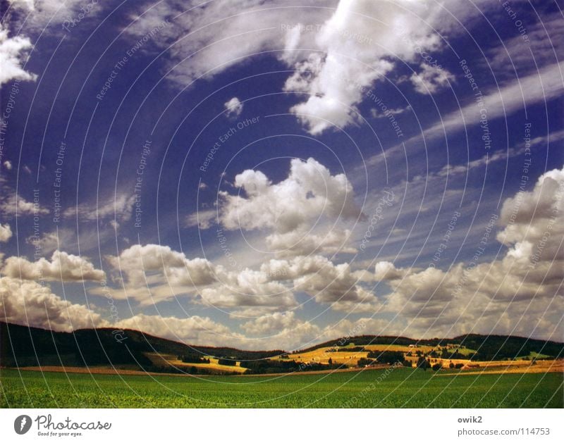 Himmel über Hochkirch Panorama (Aussicht) wellig Landwirtschaft Feld Wiese Wald Baum Wolken dramatisch schlechtes Wetter Wind unterwegs Wolkenschatten Sachsen