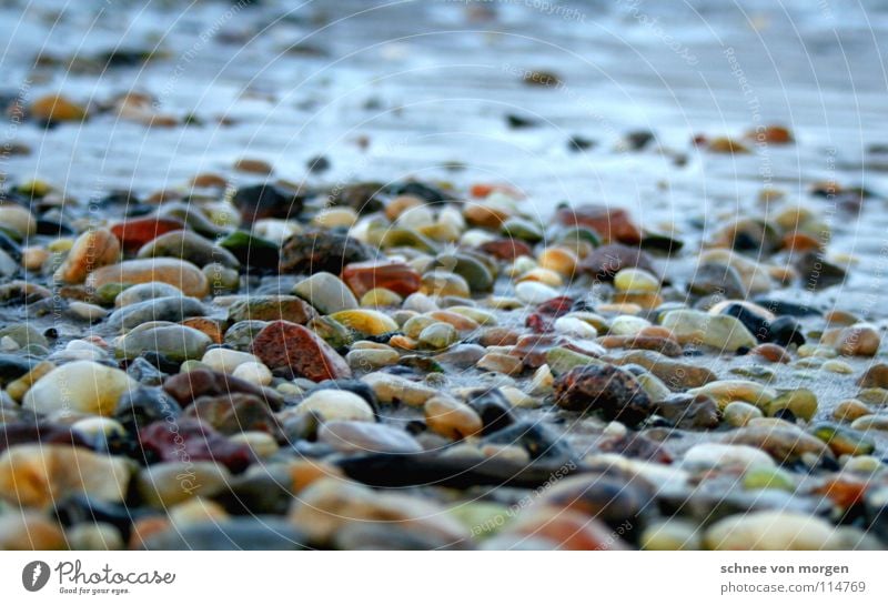 schärfen l untiefen Meer See Strand rot gelb finden Ebbe fließen ruhig Gezeiten Herbst Winter Stein Küste Wasser Sand Nordsee Farbe Flut Felsen Makroaufnahme