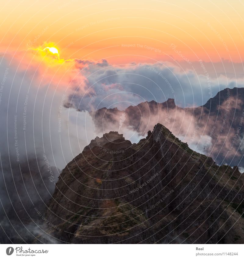 Einsamer Berg Natur Landschaft Urelemente Erde Himmel Wolkenloser Himmel Sonne Sonnenaufgang Sonnenuntergang Sonnenlicht Sommer Schönes Wetter Nebel Hügel