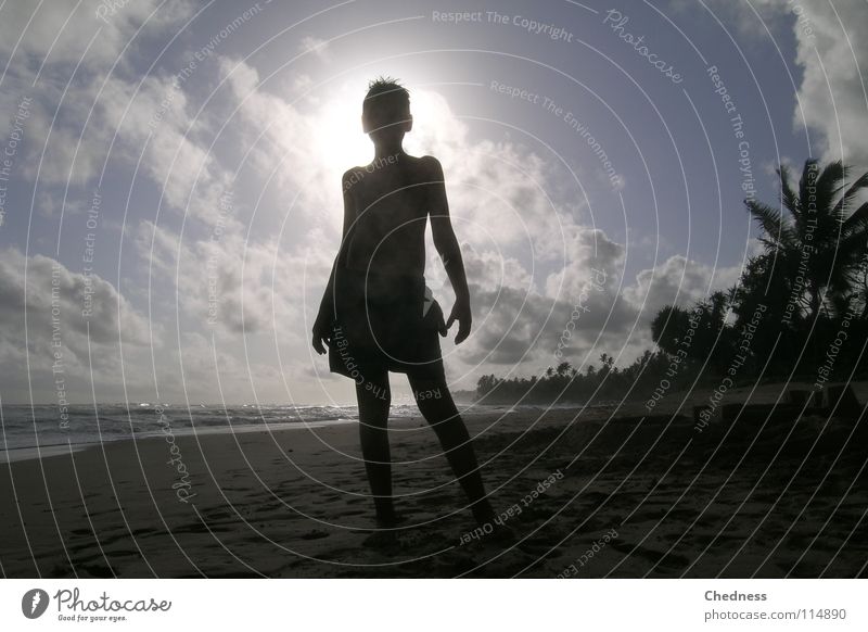 Strandschatten Palme Sandburg Meer Wellen Meerwasser Wolken weiß Licht Silhouette Gischt Sri Lanka Asien Küste Himmel Wasser Nebel blau Schatten Ahangama