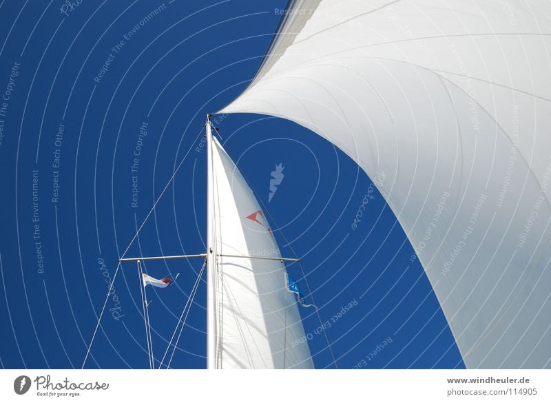 Vollzeug Segeln Blauer Himmel Sommer blau-weiß Wassersport Wind Halbwind Tag am Meer