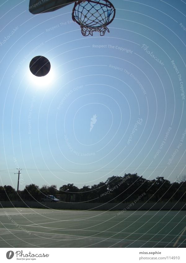 basket Farbfoto Außenaufnahme Textfreiraum rechts Tag Spielen Freiheit Sommer Sonne Sport Ballsport Himmel Wolkenloser Himmel Schönes Wetter beobachten Bewegung