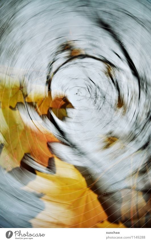 intermezzo Blatt Herbst Jahreszeiten Ast Himmel Sturm Wind Wetter Drehung rotieren Sog Wasserwirbel Bewegungsunschärfe