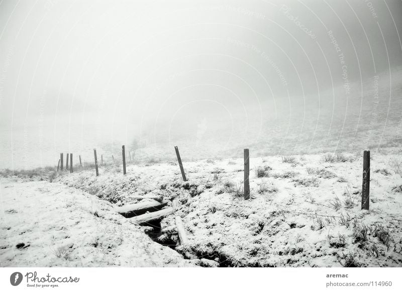 Nebeltal Winter schwarz weiß Allgäu Schwarzweißfoto Berge u. Gebirge Landschaft Schnee Alpen