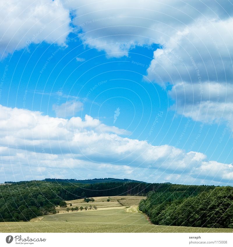 Landschaft Hintergrundbild Wiese Feld Himmel Wolken Rasen Natur Gras Freiheit Ferne Landwirtschaft Horizont minimalistisch natürlich Hügel grün ländlich