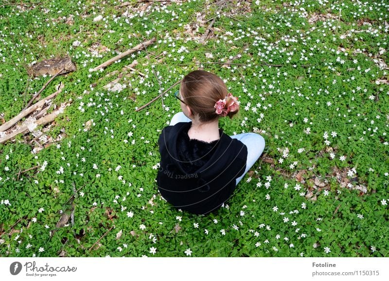 Endlich ist der Frühling da und überall blühen die Buschwindröschen in voller Pracht Mensch feminin Kind Mädchen Kindheit Jugendliche Körper Kopf