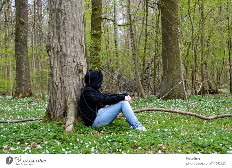 Lieblingsort! Mensch feminin Mädchen Junge Frau Jugendliche Kindheit 1 Umwelt Natur Landschaft Pflanze Frühling Schönes Wetter Baum Blume Blüte Wald frei