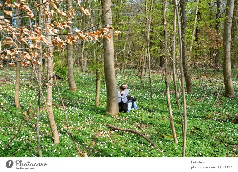 Märchen Mensch feminin Mädchen Junge Frau Jugendliche Kindheit 1 8-13 Jahre Umwelt Natur Landschaft Pflanze Frühling Baum Blume Wald frei hell natürlich braun