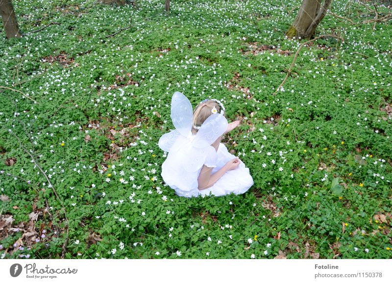 Allein im Wald Mensch feminin Mädchen Kindheit Körper Kopf Arme 1 0-12 Monate Baby Umwelt Natur Pflanze Frühling Schönes Wetter Baum Blume Park blond schön grün