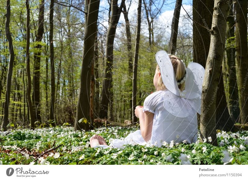 Frühlingselfe Mensch feminin Kind Mädchen Kindheit Körper Haut Kopf Haare & Frisuren Rücken Arme Fuß 1 Umwelt Natur Landschaft Pflanze Himmel Wolken