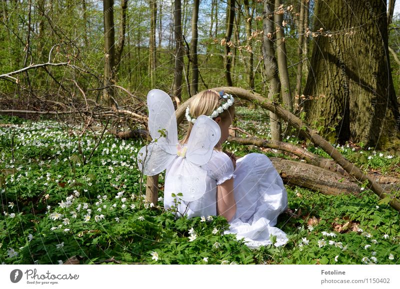 Tinkerbells Freundin Mensch feminin Kind Mädchen Kindheit 1 frei Glück hell schön nah natürlich Wärme grün weiß Fee Elfe Blumenkranz Flügel Farbfoto