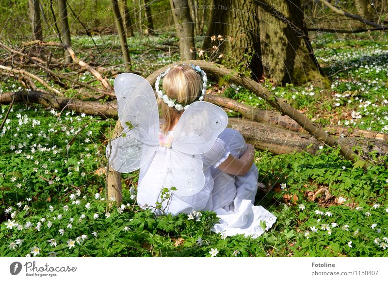 Flügelwesen Mensch feminin Kind Mädchen Kindheit Körper Kopf Haare & Frisuren 1 Umwelt Natur Landschaft Pflanze Frühling Schönes Wetter Baum Blume Blüte Wald