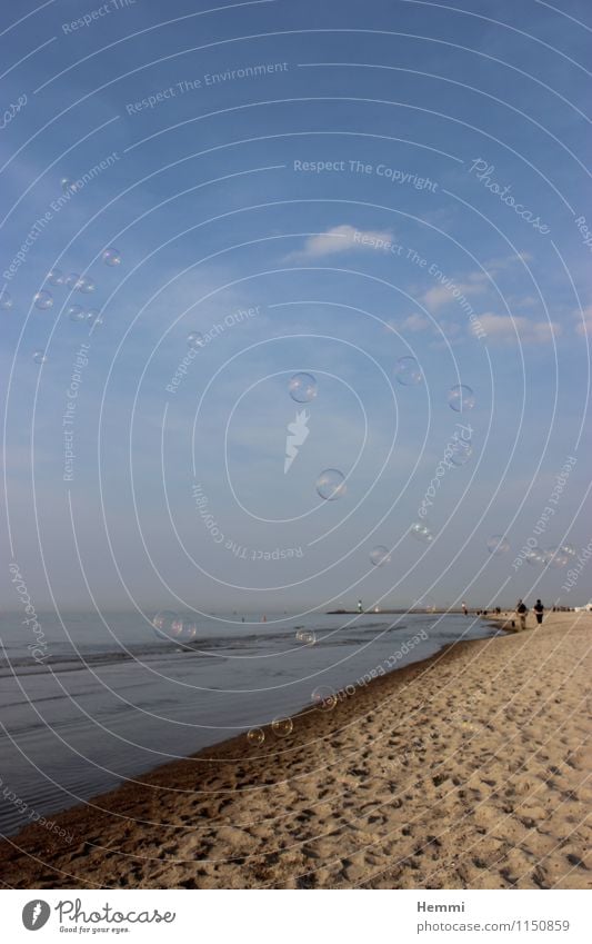 Seifenblasen am Strand Umwelt Natur Küste Seeufer Flussufer Erholung genießen Strandspaziergang Seenplatte Meer Ostsee Farbfoto Außenaufnahme Detailaufnahme