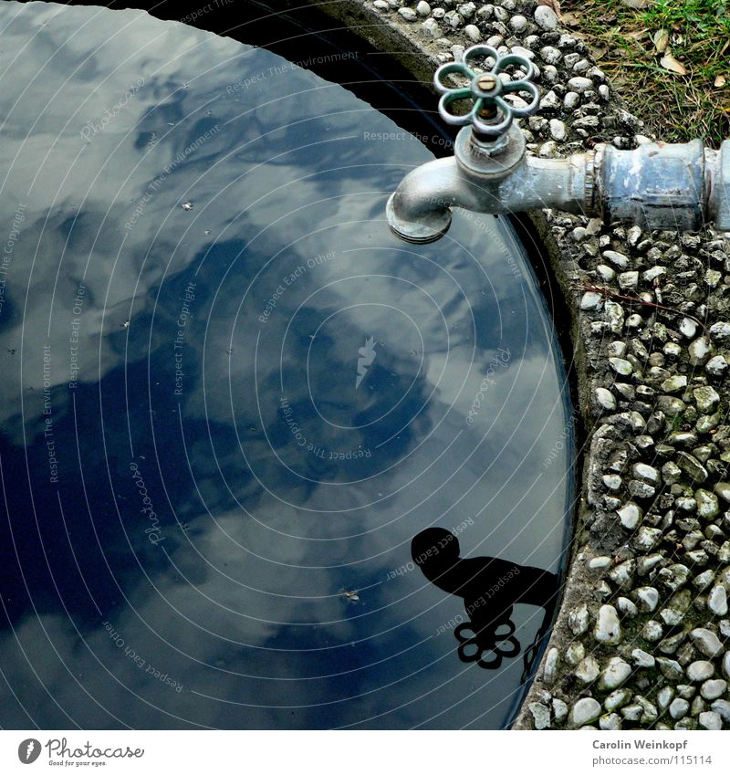 Berlin in a square I Wasserhahn Wolken Friedhof Mauer Wiese Kran Reflexion & Spiegelung blau grau grün Brunnen Sehnsucht Trauer Verzweiflung Winter Himmel Erde