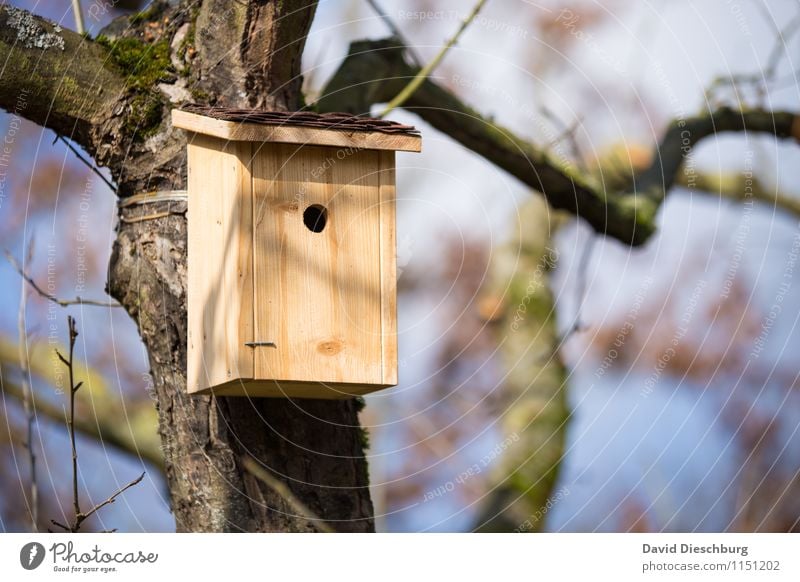 Nachmieter gesucht! Häusliches Leben Wohnung Haus Garten Umzug (Wohnungswechsel) Natur Frühling Sommer Schönes Wetter Baum Futterhäuschen Mieter