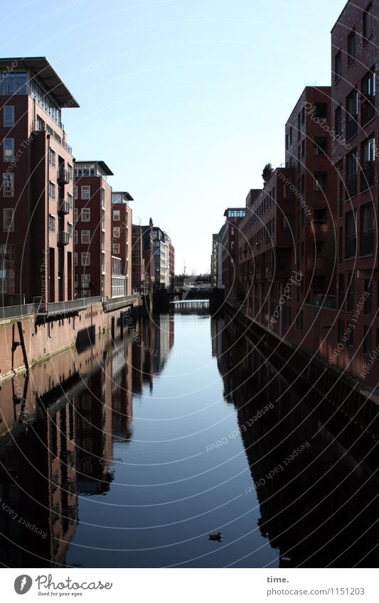 Badewanne Wasser Himmel Horizont Küste Fleet Kanal Hamburg Hafenstadt Stadtzentrum Haus Brücke Bauwerk Gebäude Architektur Mauer Wand Fassade Ente historisch