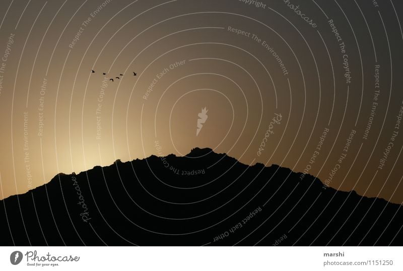 when the sun goes down Natur Sonne Sonnenaufgang Sonnenuntergang Klima Berge u. Gebirge Gefühle Vogel Sardinien dunkel Aussicht Farbfoto Außenaufnahme Dämmerung