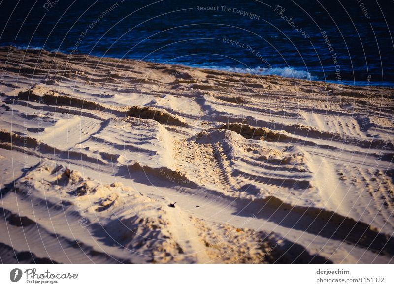 Auto Spuren im Sand von Fraser Island bei Sonnenlicht. Oben sieht man das blaue Meer. Freude Leben Ausflug Sommer Insel Wellen Natur Wasser Schönes Wetter