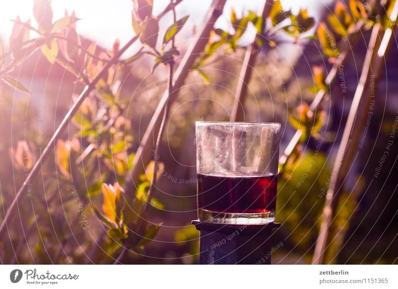 Wein (rot) Rotwein Glas Getränk Alkohol Abend Feierabend halbleer halbvoll Garten Schrebergarten Natur Pflanze Ranke Gartengeißblatt Geißblatt