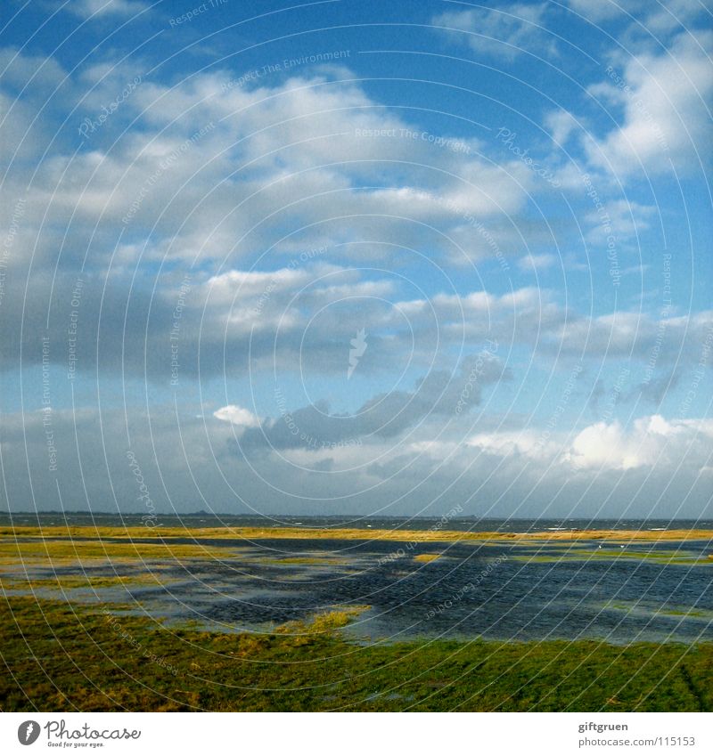 nordsee Herbst Herbstlandschaft Küste mehrfarbig Jahreszeiten Strand Meer Wolken Oktober November schlechtes Wetter Wiese Gras Ferien & Urlaub & Reisen Himmel