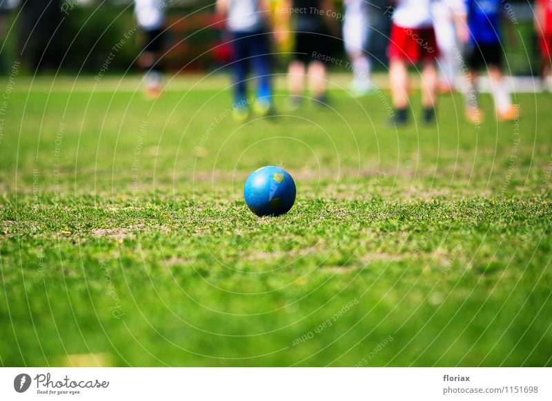 fußball im park Freude sportlich Freizeit & Hobby Spielen Sport Fitness Sport-Training Ballsport Fußball Sportstätten Fußballplatz Mensch Gras Park Stadt