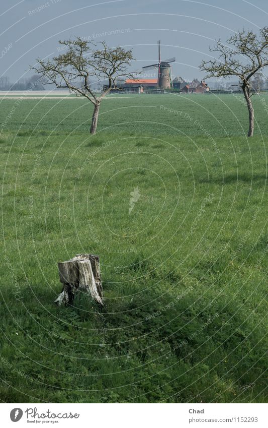 Wind Mühle Wohlgefühl ruhig Meditation Ferien & Urlaub & Reisen Tourismus Ausflug Sommer Sommerurlaub Umwelt Natur Landschaft Pflanze Frühling Baum Gras